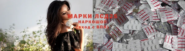 трава Алзамай