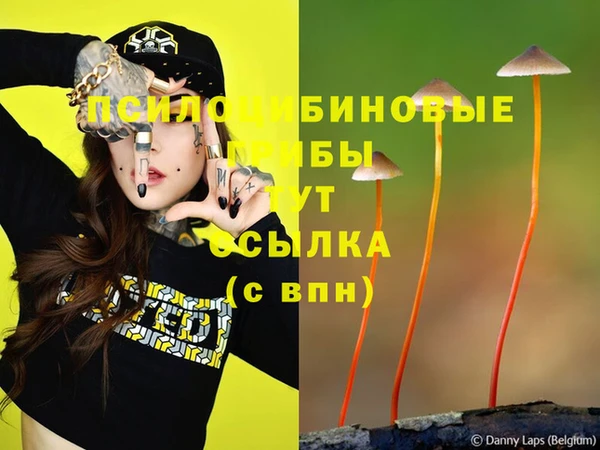 трава Алзамай