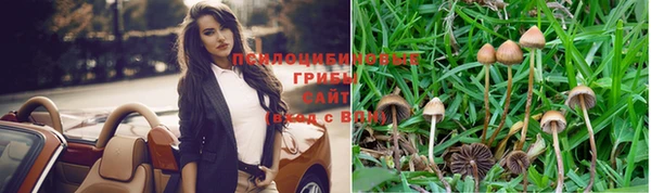 трава Алзамай