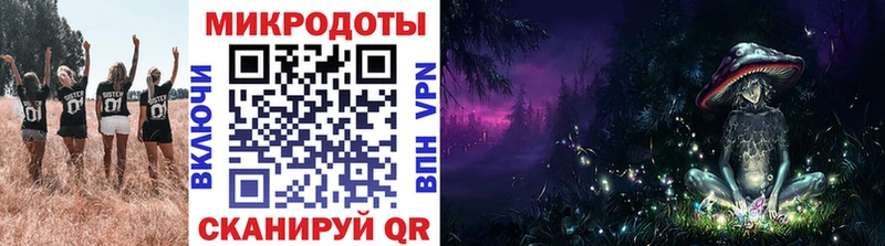 продажа наркотиков  Ставрополь  shop телеграм  Галлюциногенные грибы Magic Shrooms 