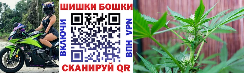 Шишки марихуана VHQ  KRAKEN ONION  Ставрополь 